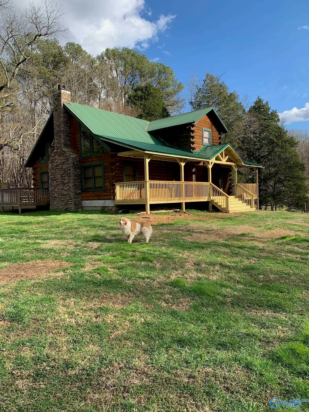 209 Ward Drive, New Market, AL 35761 - #1