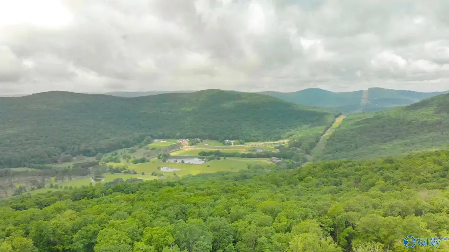 35 Watson Grande Way, Owens Cross Roads, AL 35763 - Image #3