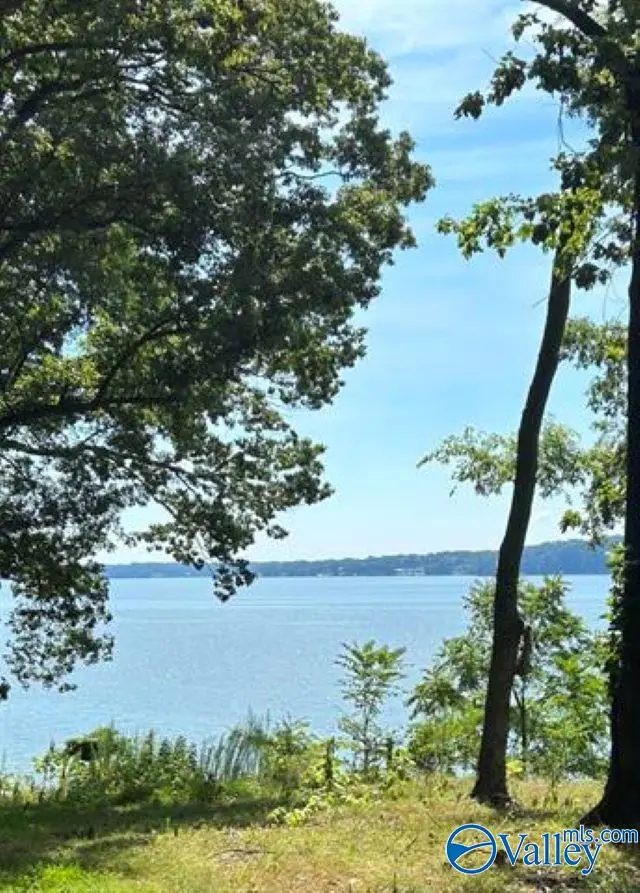 160 Highland Cove, Florence, AL 35630 - Image #2