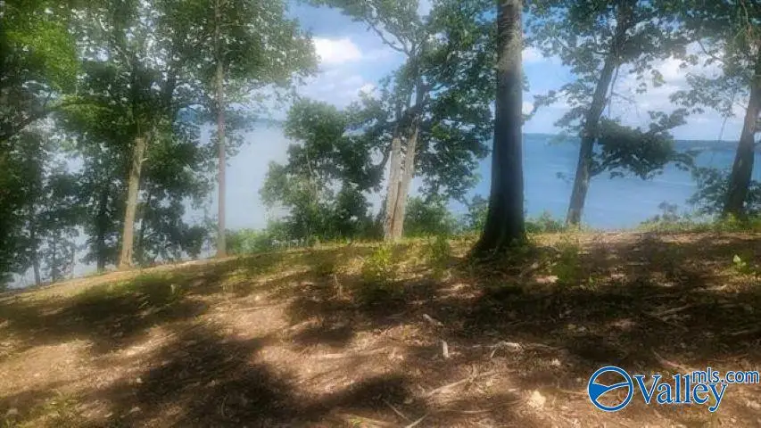 588 Highland Cove, Florence, AL 35630 - #3