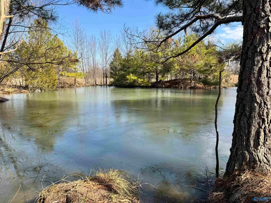 3051 Alabama Highway 157, Danville, AL 35619 - Image #3