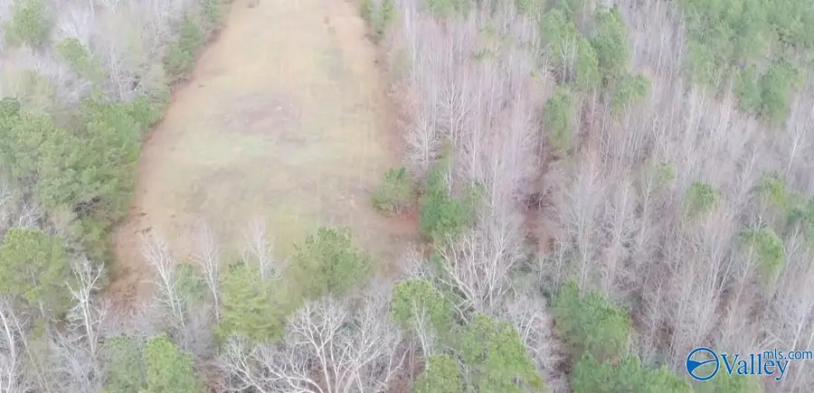 4960 Newburg Road, Haleyville, AL 35565 - #2