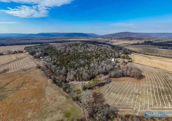 7.58 Acres-Lot1 County Road 214, Woodville, AL 35776