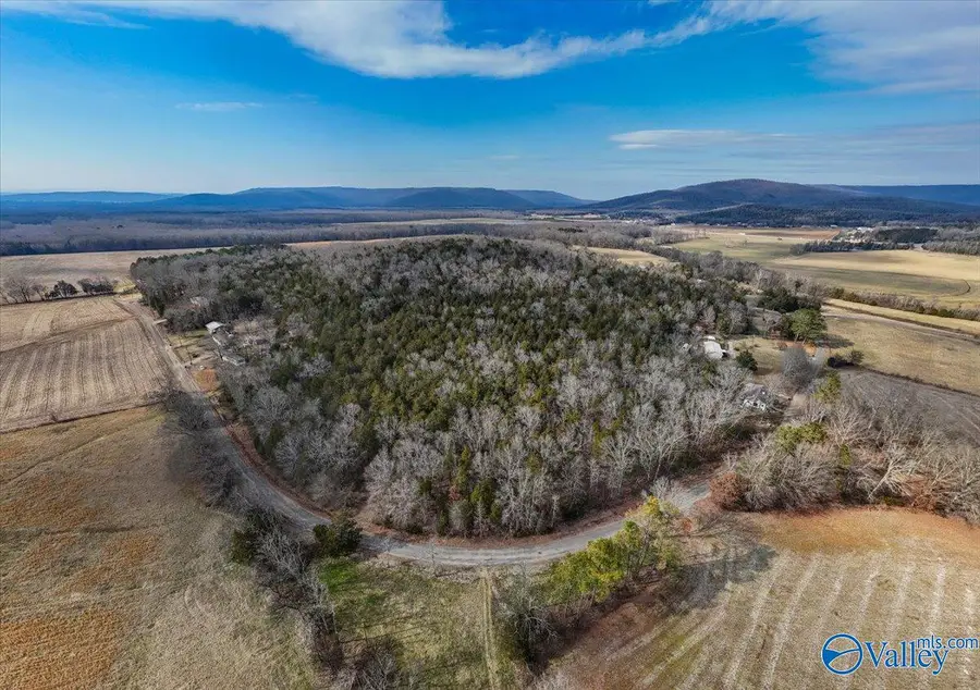 7.58 Acres-Lot1 County Road 214, Woodville, AL 35776 - Image #2