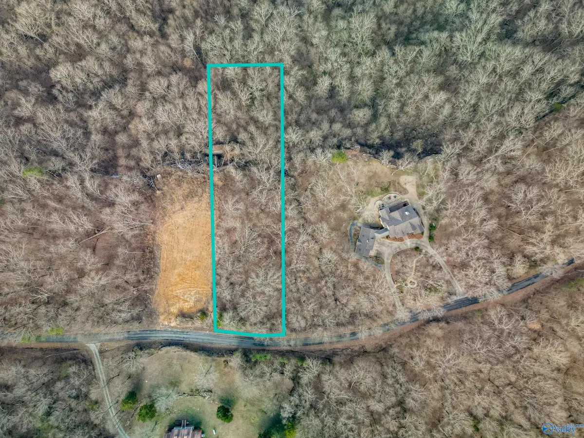 Lot 7 County Road 224, Dutton, AL 35744 - #1
