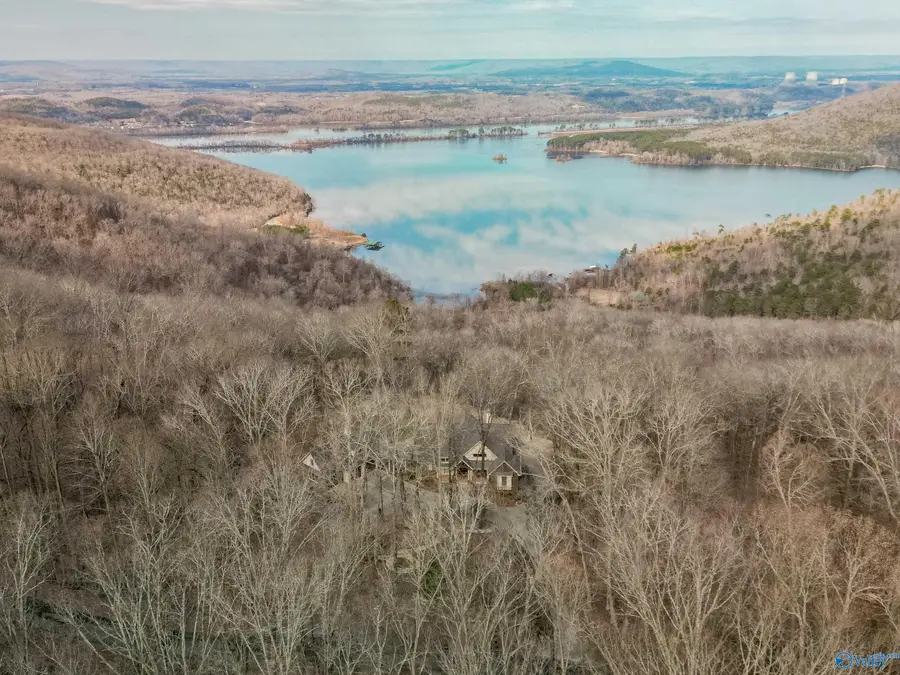 1116 County Road 224, Dutton, AL 35744 - #3