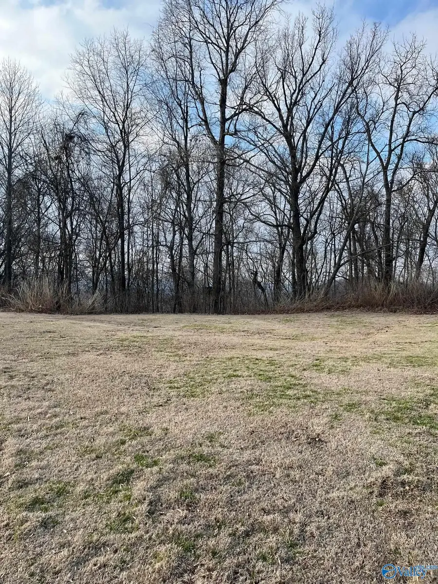 151 Ledge View Drive, Huntsville, AL 35802 - Image #2