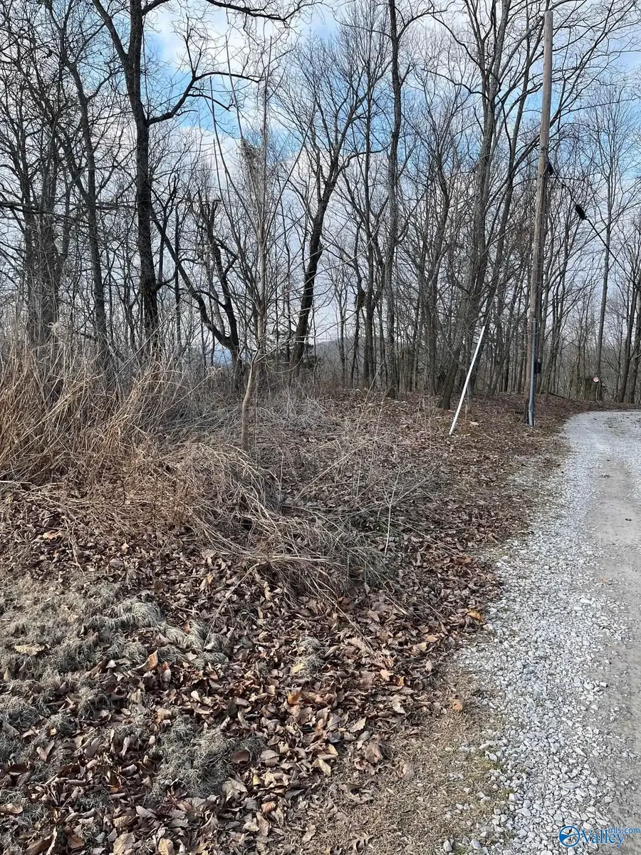 151 Ledge View Drive, Huntsville, AL 35802 - Image #3