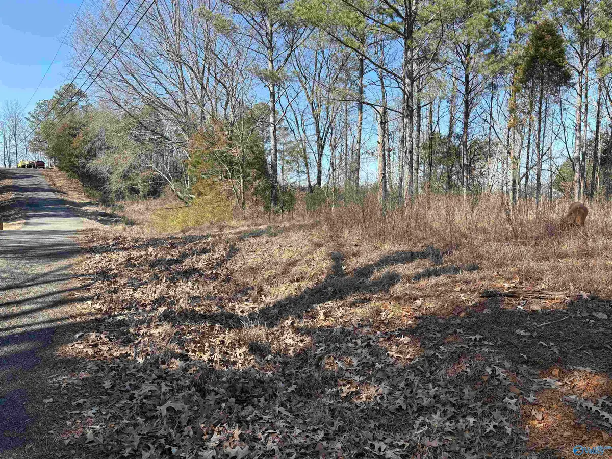 Lots 2&3 Savory Drive, Scottsboro, AL 35769 - #1