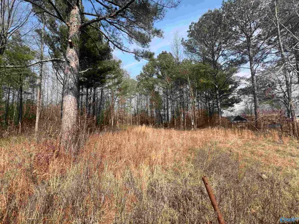 LOT 128 Spring Creek Campground, Centre, AL 35960