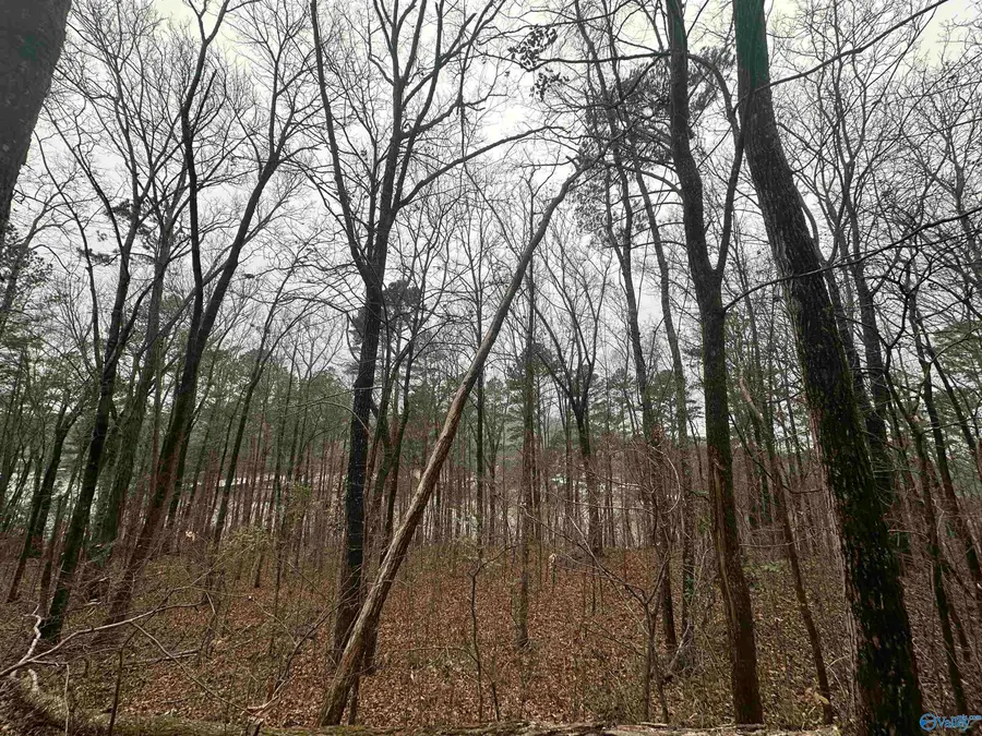 0.62 Riddles Bend Road, Rainbow City, AL 35906 - #3