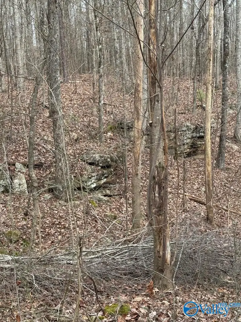 14 Hopper Road, Altoona, AL 35952 - #3