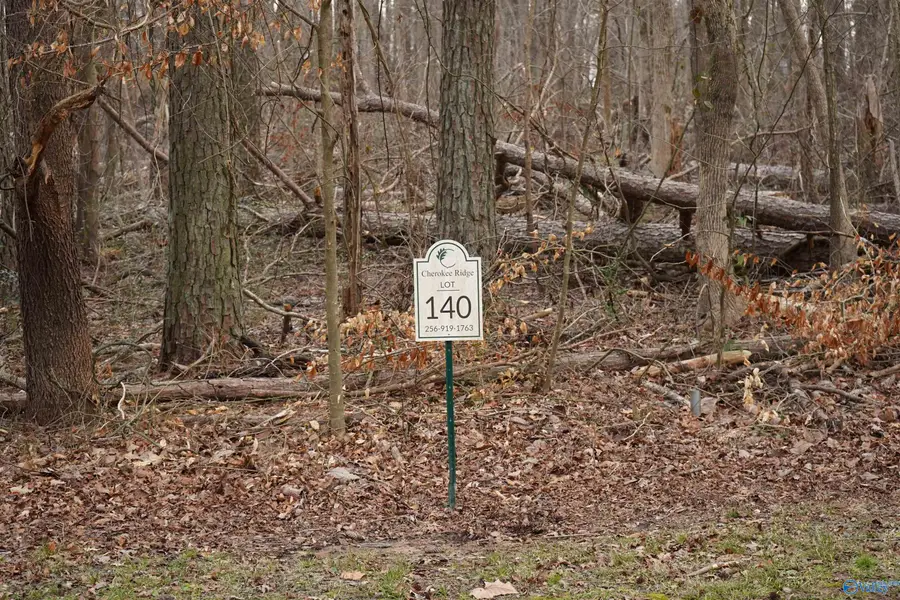 Lot 140 Emerald Point, Cherokee Ridge, AL 35175 - #3