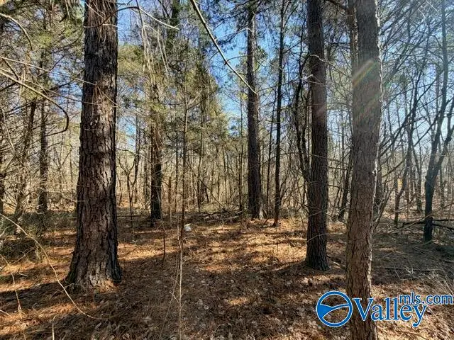 3.970 Flanagan Road, Athens, AL 35614 - Image #2