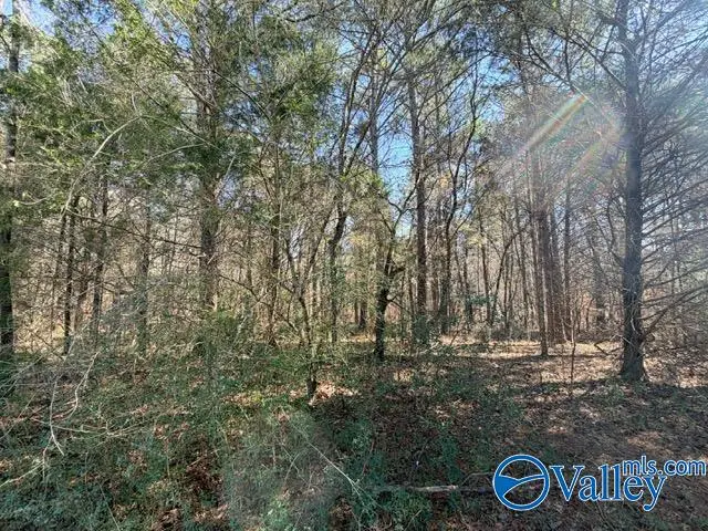 3.970 Flanagan Road, Athens, AL 35614 - Image #3