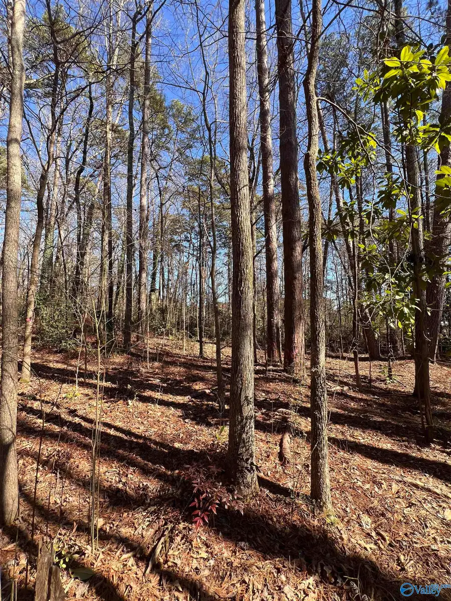 127 Lynn Drive, Gadsden, AL 35901 - #3