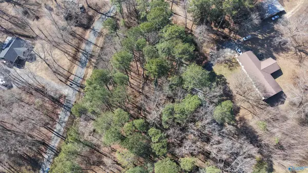 5 Friar Tuck Way, Fyffe, AL 35971