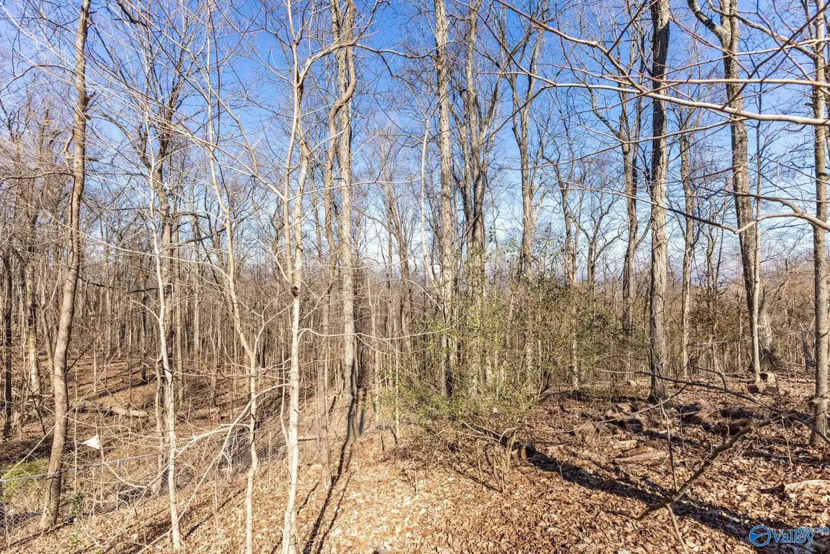 3709 Lookout Drive Se, Huntsville, AL 35801 - Image #1