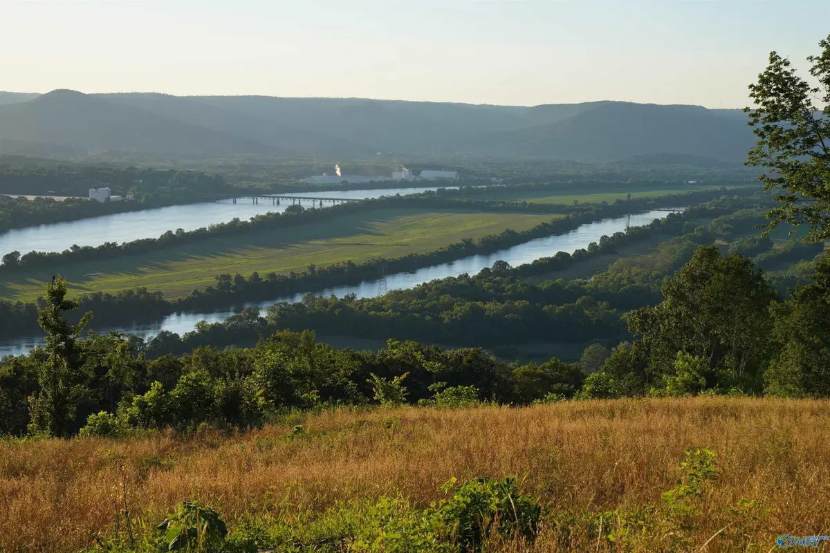 426 AC County Road 91, Bryant, AL 35958 - #1