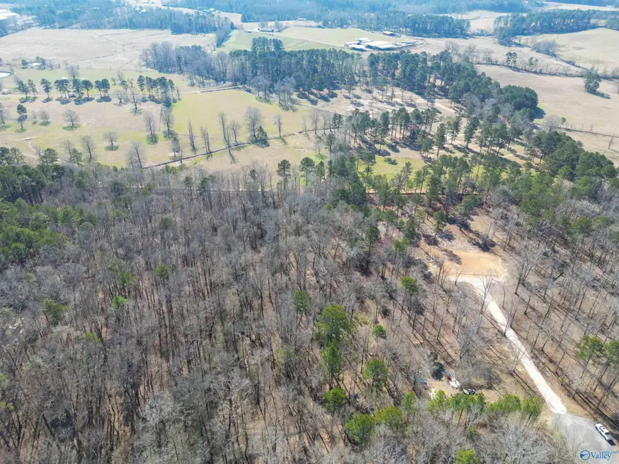 3.7 County Road 497, Centre, AL 35960 - #2