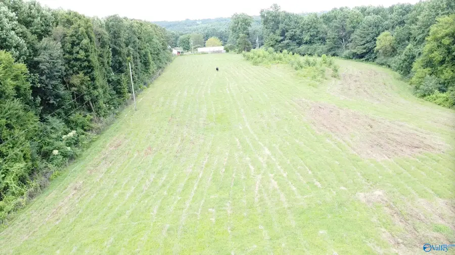 16 Acres County Road 1105, Vinemont, AL 35179 - #3