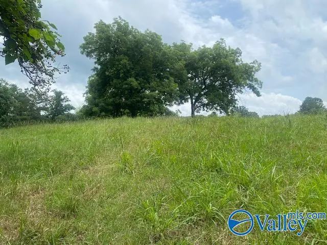 10A Thornhill Road, Boaz, AL 35956 - #3