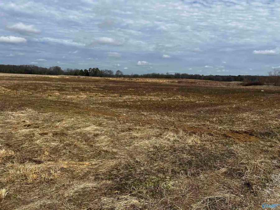 151 County Road 113, Town Creek, AL 35672 - #3