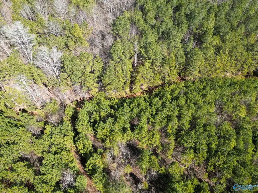 14.28 ACRES Gault Avenue N, Fort Payne, AL 35967 - #2