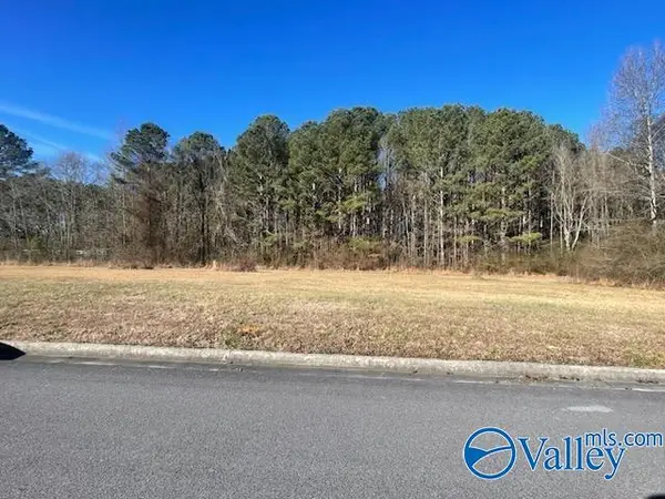 lot 2 Summertree Way Ne #lot 2, Arab, AL 35016