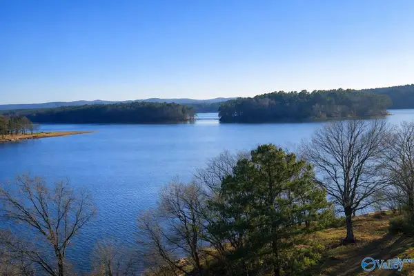 Lot 29 County Road 789 #Lot 29, Centre, AL 35960