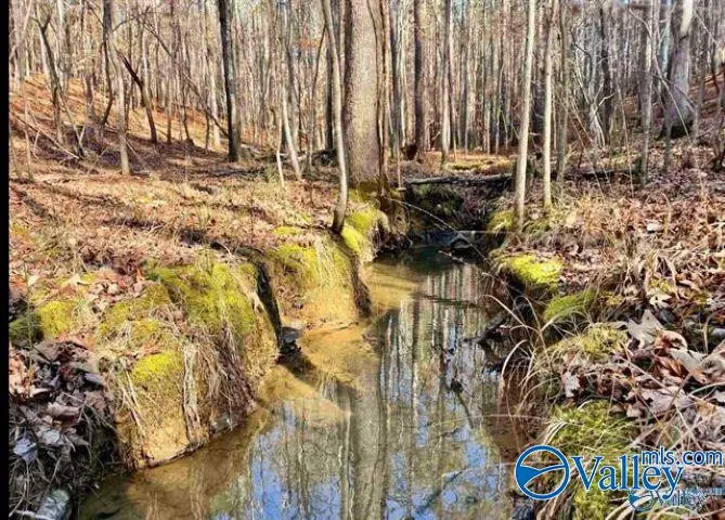 5939 Valley Way, Trussville, AL 35173 - #1