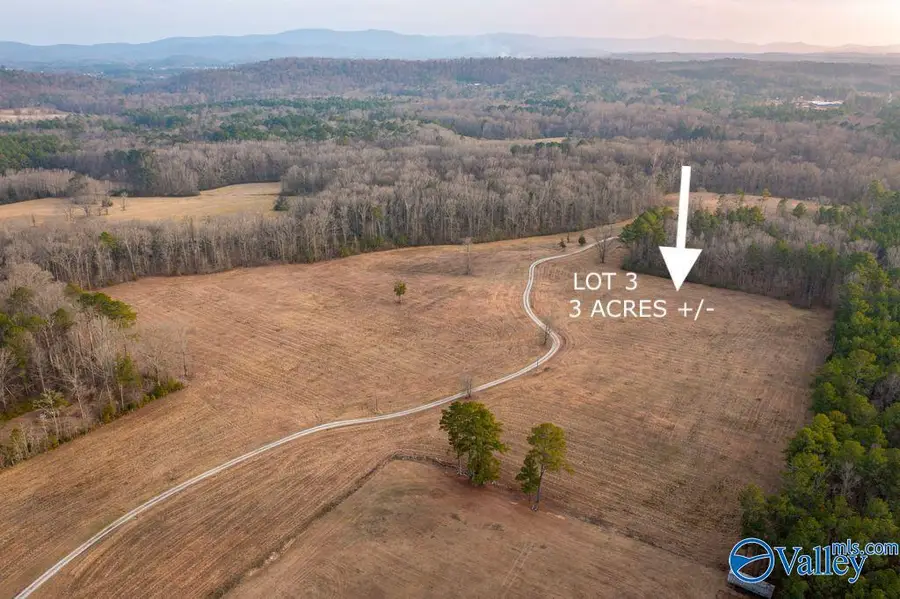 Lot 3 Cedar Springs Drive, Jacksonville, AL 36265 - #3