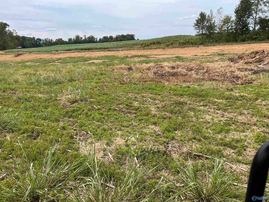 21638 Holland Road, Athens, AL 35614 - #2