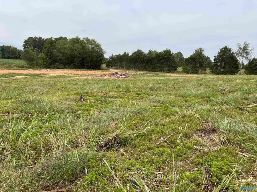 21638 Holland Road, Athens, AL 35614 - #3