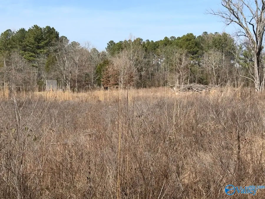 lot 4&5 County Road 5, Moulton, AL 35650 - #3