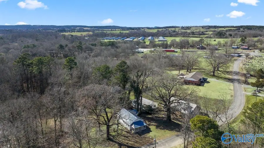 5623 Horton Nixon Chapel Road, Horton, AL 35980 - #3