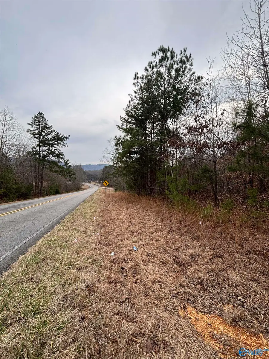 17 acres Leeth Gap Road, Attalla, AL 35954 - #2