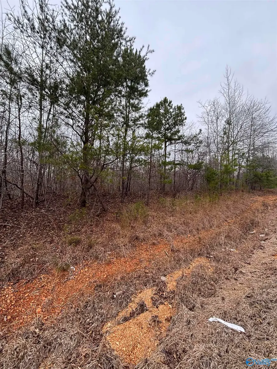 17 acres Leeth Gap Road, Attalla, AL 35954 - #3