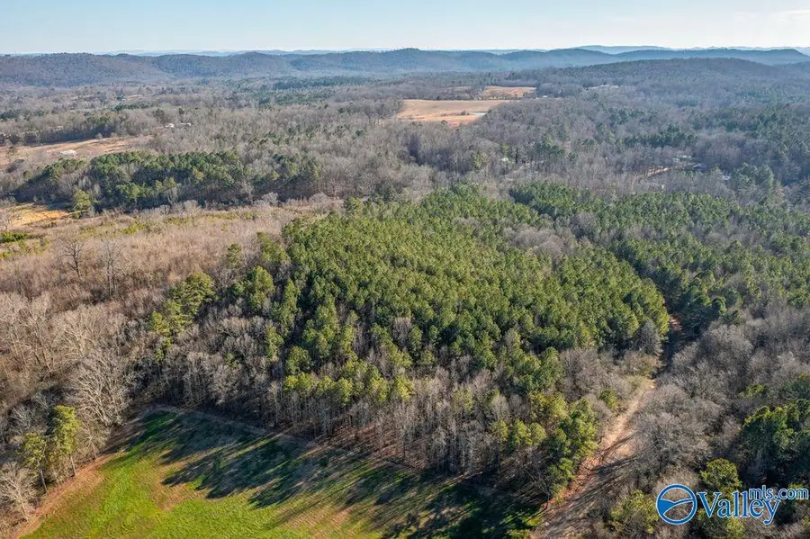 14 Acres +/- Oak Grove Road, Attalla, AL 35954 - #2