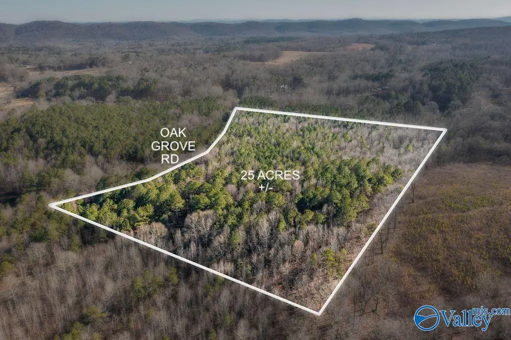 25 Acres +/- Oak Grove Road, Attalla, AL 35954 - #1