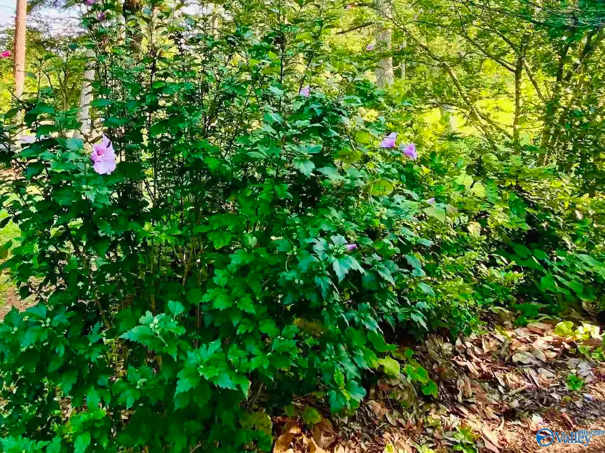 196 Space Road, Bessemer, AL 35023 - #1