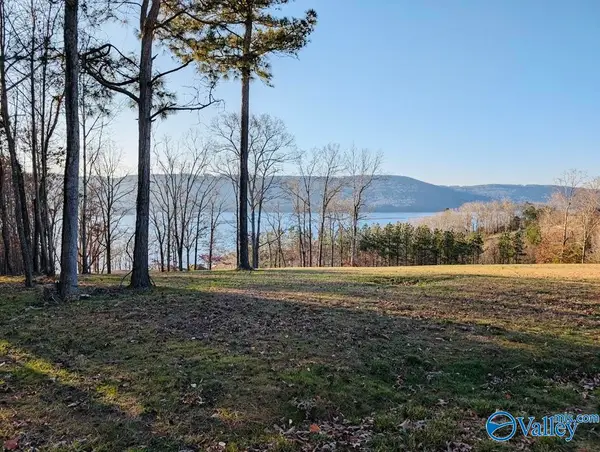 986 Monte Sano Drive, Scottsboro, AL 35769