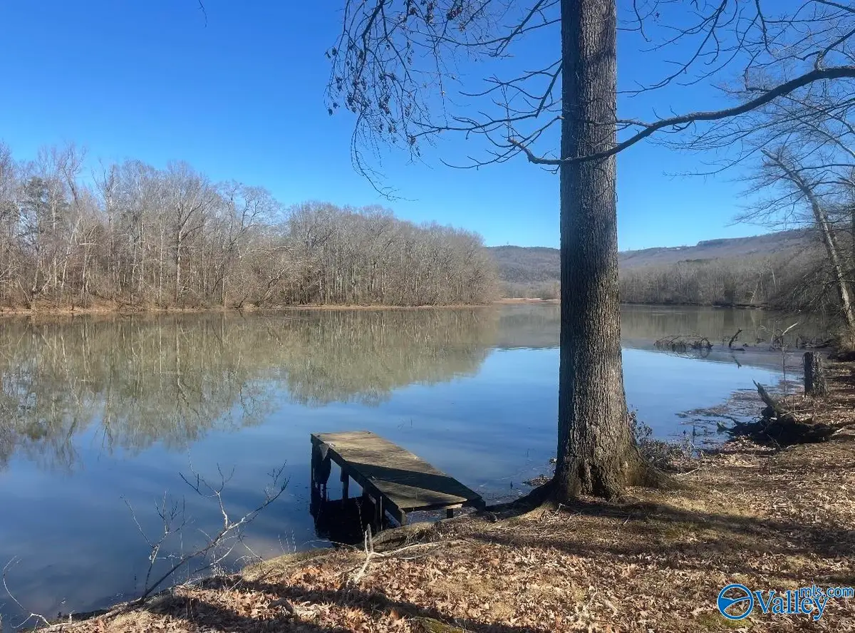 572 County Road 676, Bryant, AL 35958 - #1