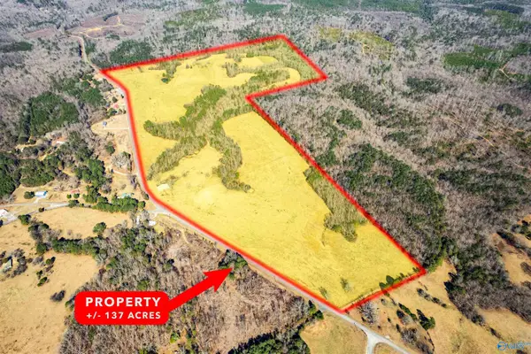 137 acres County Road 63, Houston, AL 35572