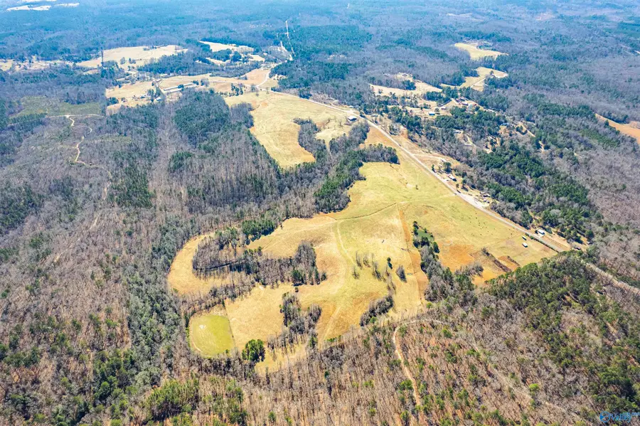 137 acres County Road 63, Houston, AL 35572 - #3