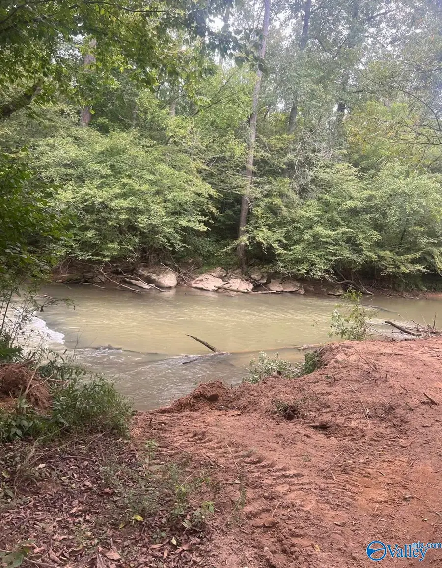 32 Acres Wesson Gap Road, Attalla, AL 35954 - #2