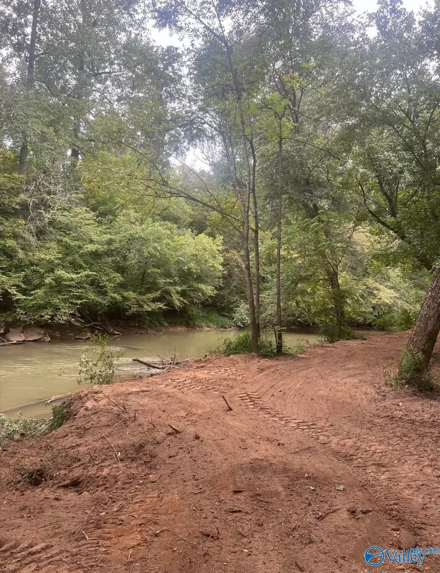 32 Acres Wesson Gap Road, Attalla, AL 35954 - #3