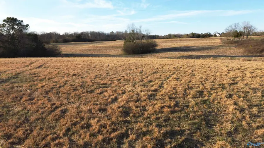 3.12 Ester Road, Grant, AL 35747 - #2