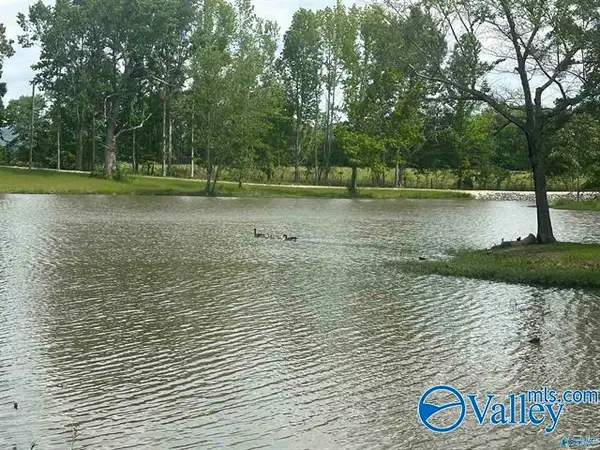 Lot 6 & 7 County Road 115 #LOT 6&7, Cedar Bluff, AL 35959