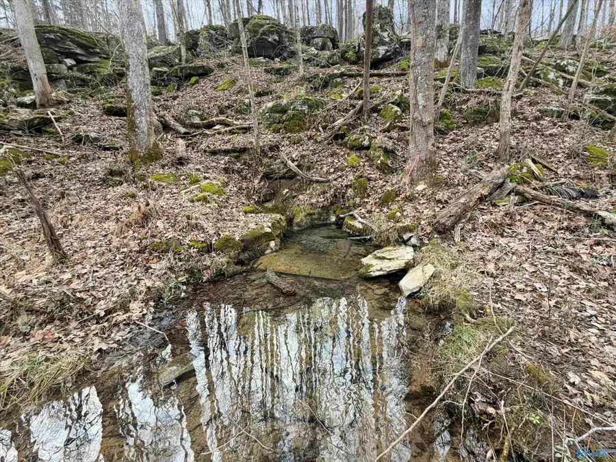 572B County Road 676, Bryant, AL 35958 - #3